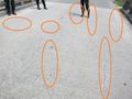 201206134 201206134