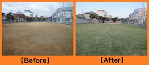 201209020 201209020